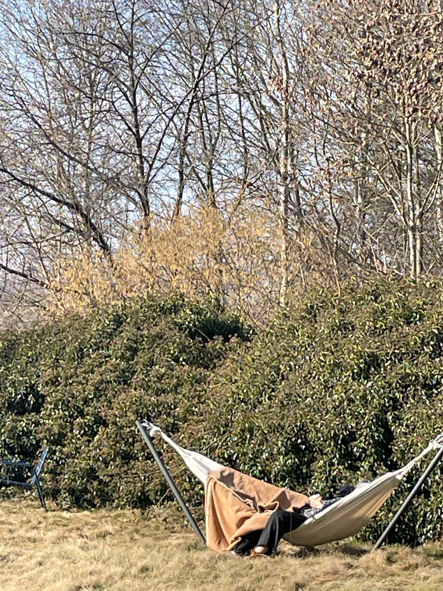 Hammock in garden